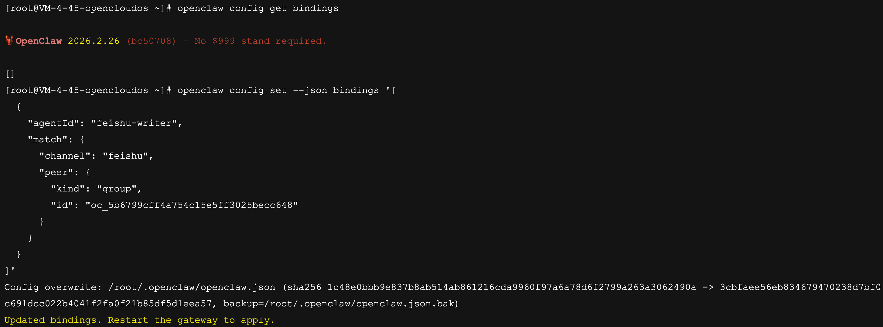 Configure to bind the Feishu group to the Agent