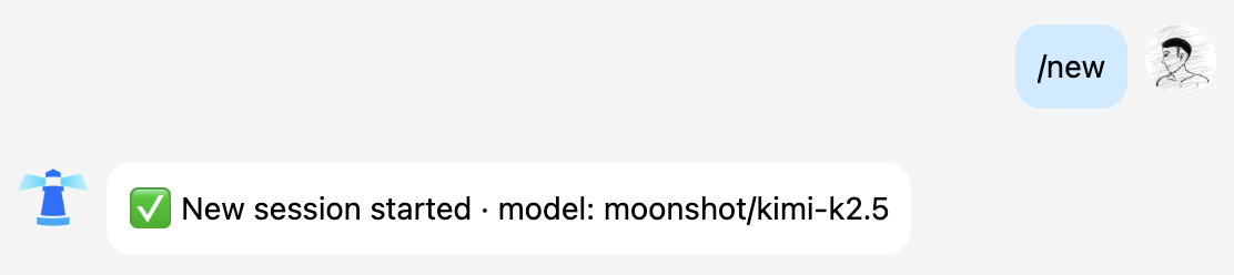 Example of logging into the OrcaTerm terminal through the Lighthouse console