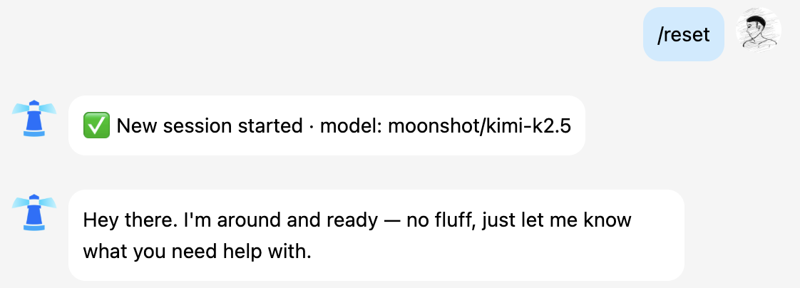 Example of logging into the OrcaTerm terminal through the Lighthouse console