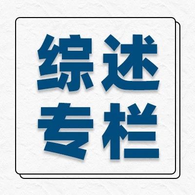 【综述专栏】视觉-语言基础模型的提示工程