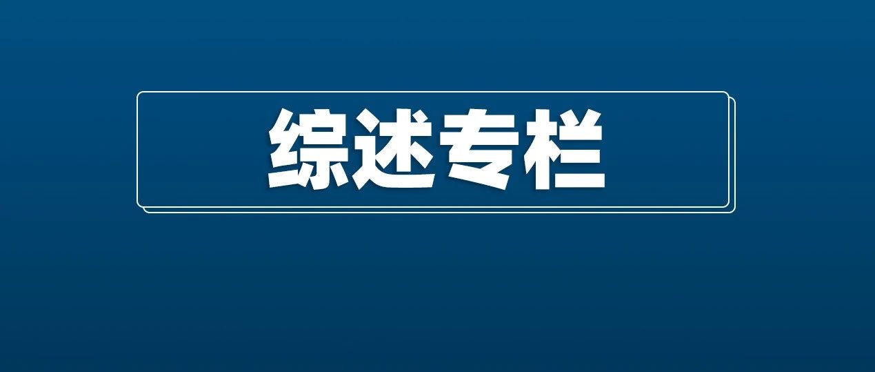 【综述专栏】全面详述图监督图结构等图学习技术进展