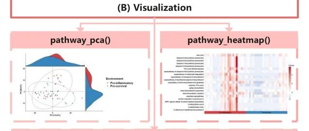 ggpicrust2：PICRUSt2预测功能分析和可视化的R包