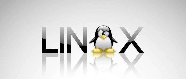 Linux 命令实战(六)
