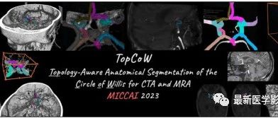 Top_Cow 2023——用于CTA和MRA的Willis环的拓扑解剖结构分割