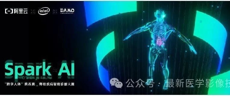Spinal Disease2020——脊柱疾病智能诊断