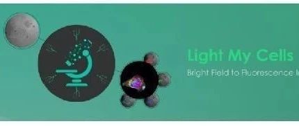 Lightmycells2024——明场到荧光成像挑战赛