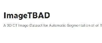 ImageTBAD2021——B 型主动脉夹层自动分割