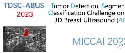 TDSC-ABUS2023——2023 年自动化 3D 乳腺超声 (ABUS) 的肿瘤检测、分割和分类挑战