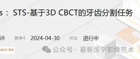 STS3D2023——STS-基于3D CBCT的牙齿分割任务