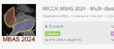 MBAS2024——多类别双心房分割挑战赛