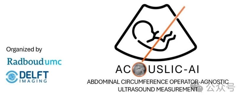 ACOUSLIC-AI2024——腹围超声自动测量验证集结果