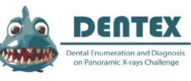 DENTEX2023——全景 X 线牙科计数和诊断挑战赛