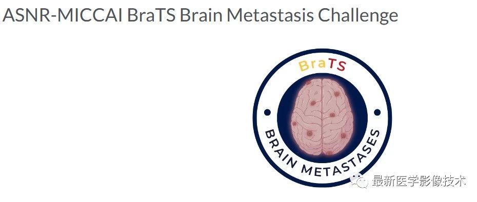 ​BraTS2023-MET——BraTS2023脑转移分割挑战赛