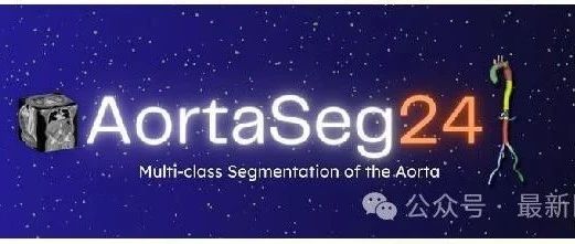 AortaSeg2024——CTA主动脉相关区域子结构23类分割