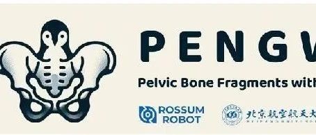 PENGWIN2024——骨盆骨碎片与损伤分割挑战之CT骨盆碎片分割