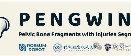 PENGWIN2024——骨盆骨碎片与损伤分割挑战之X-Ray骨盆碎片分割