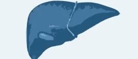 2018Medical Segmentation Decathlon——10项医学分割任务之task3肝脏肿瘤分割