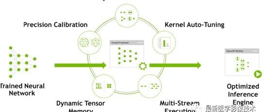 TensorRT加速推理三维分割网络实战