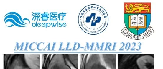 LLD-MMRI2023——多模态MRI 的肝脏病变诊断挑战