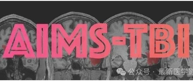 Aims-Tbi2024——中重度创伤性脑损伤病变的自动识别