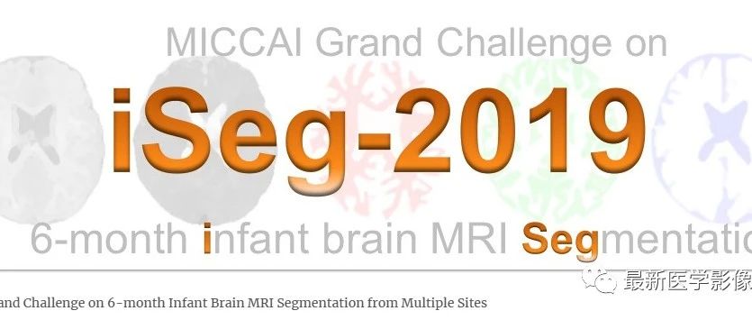 iSeg-2019——6个月婴儿多部位脑MRI分割