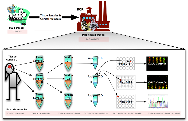 creating_barcodes