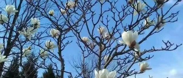 python全栈开发《48.字典添加修改数据的方法：[]处理法》