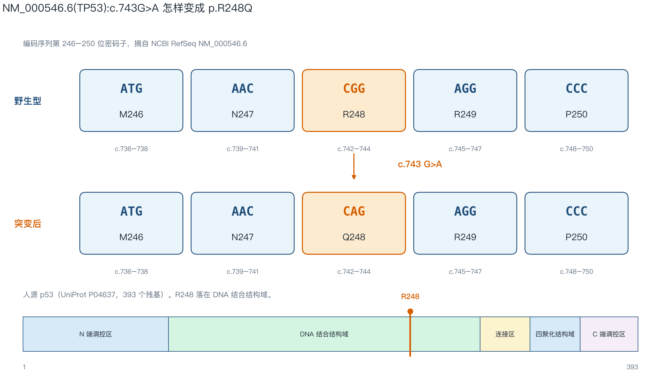 给 AI 一段 DNA，Textira 能判断这个突变有没有问题吗？