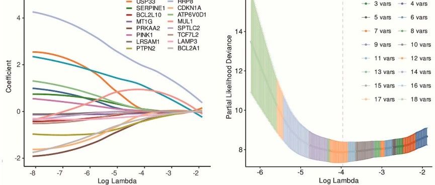 RNAseq|Lasso构建预后模型，绘制风险评分的KM 和 ROC曲线