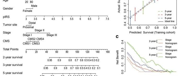 RNAseq|构建预后模型后你还需要这些图，森林图，诺莫图，校准曲线，DCA决策曲线