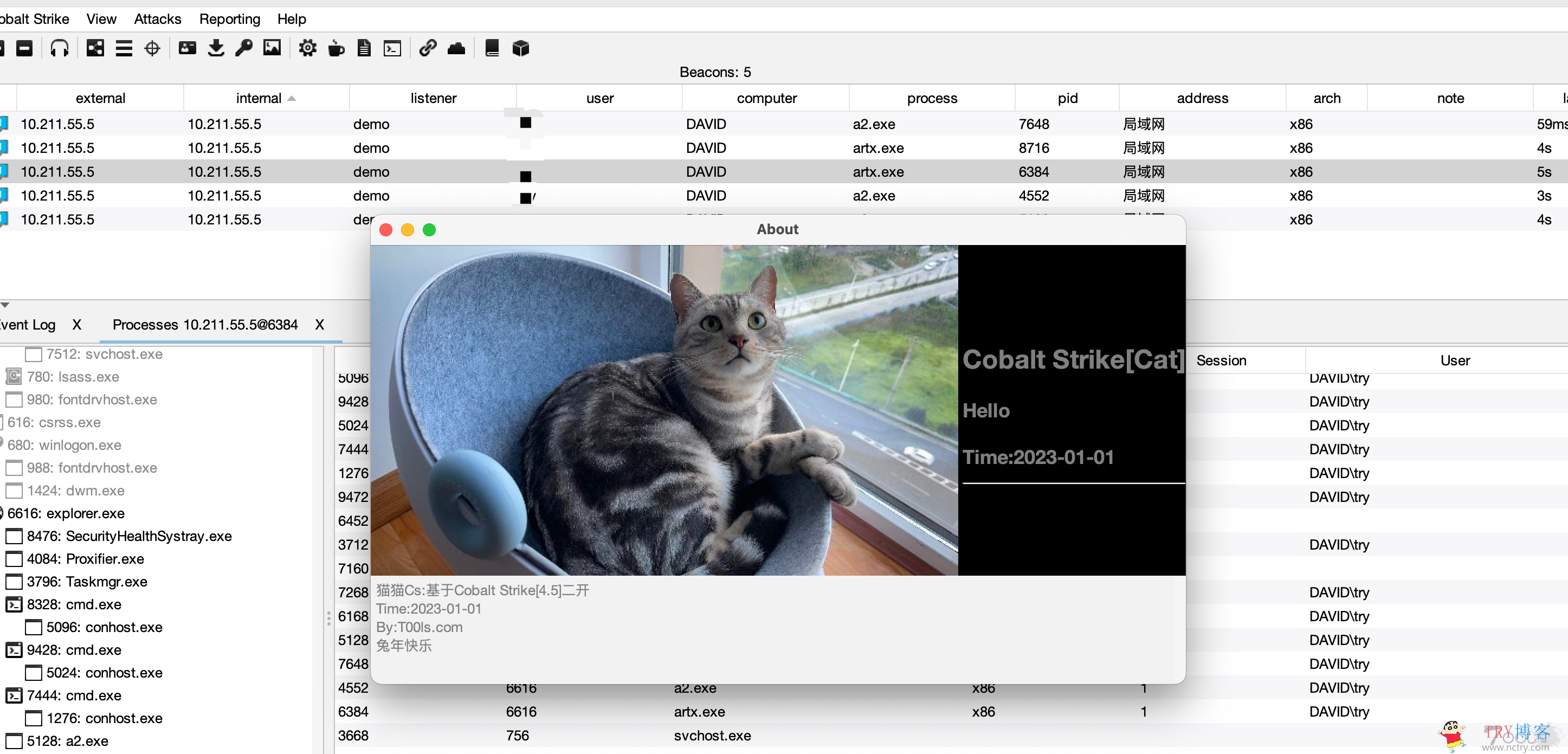 渗透测试|CobaltStrike-[Cat]-4.5-兔年快乐-猫猫版