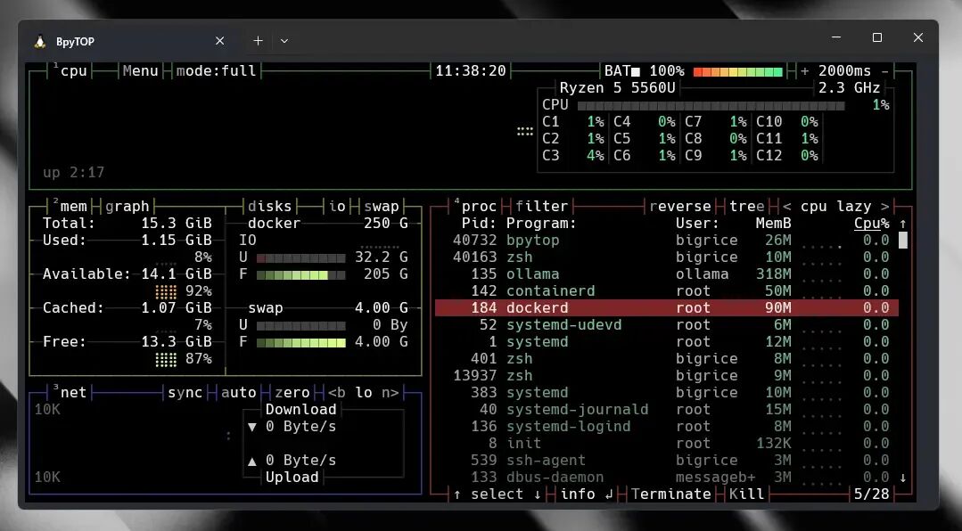 bpytop- 资源监视器显示处理器、内存、磁盘、网络和进程的使用情况和统计信息