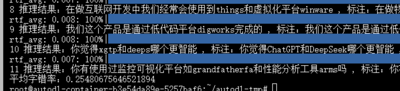 训练前字错率