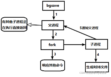 Redis的RDB持久化机制