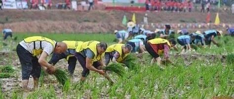 自动化测试成熟度评估模型