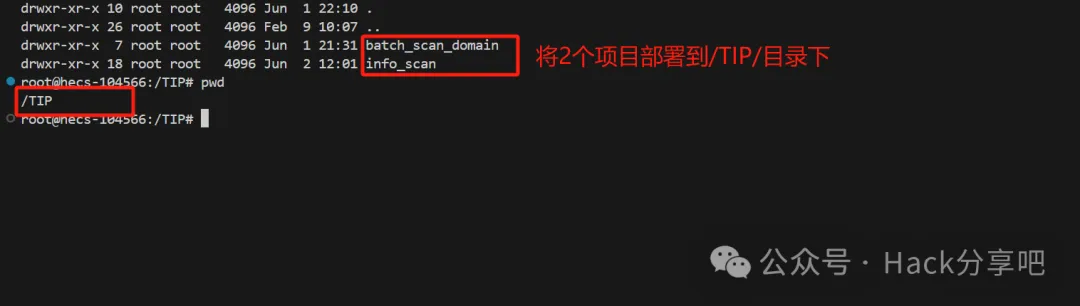 info_scan！自动化漏洞扫描系统