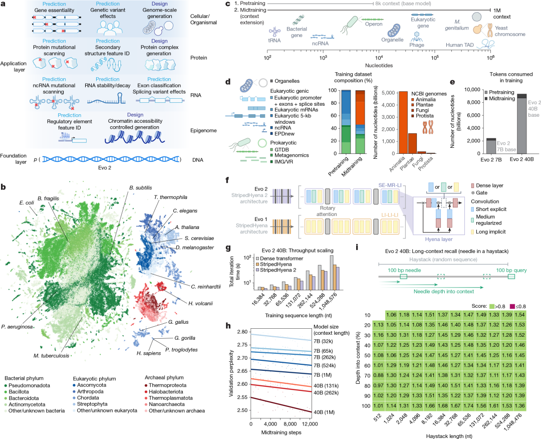 Fig. 1: Overview of model architecture, training procedure, datasets and evaluations for Evo 2.