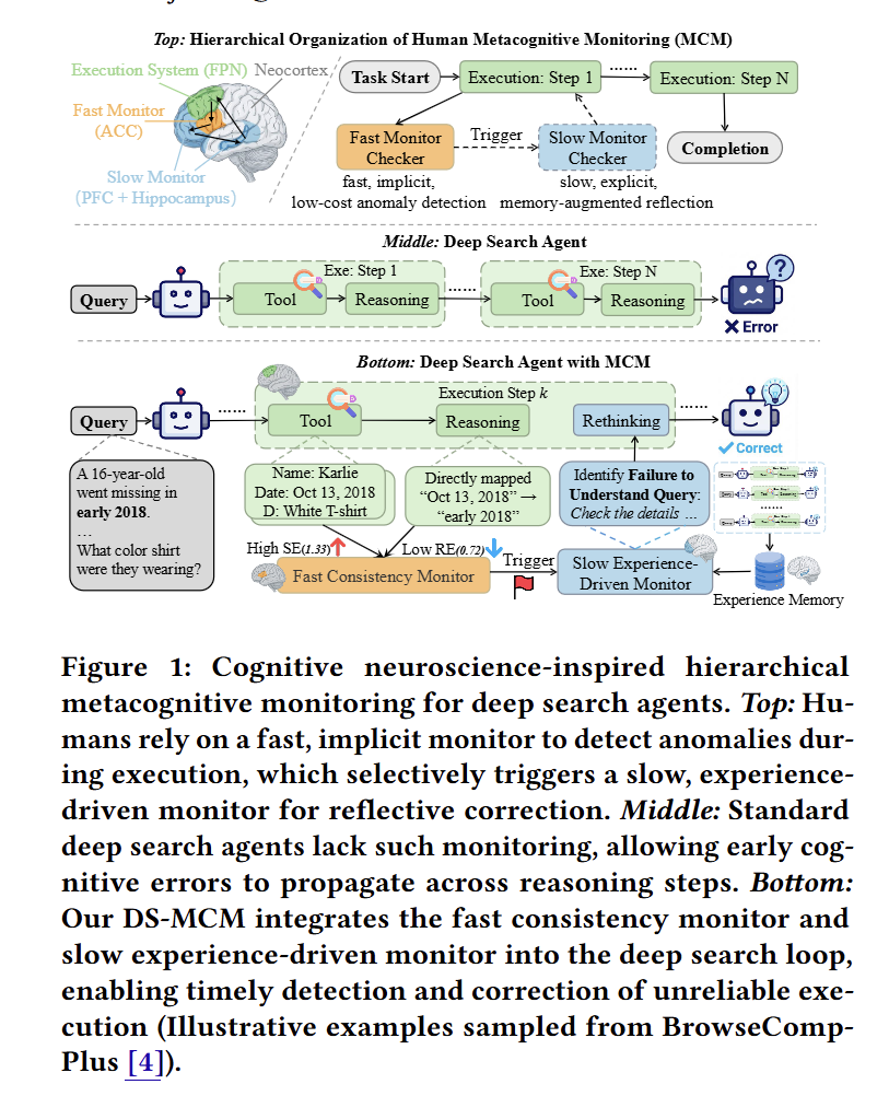 受深度搜索智能体认知科学启发的多层元认知监控，用于深度搜索智能体