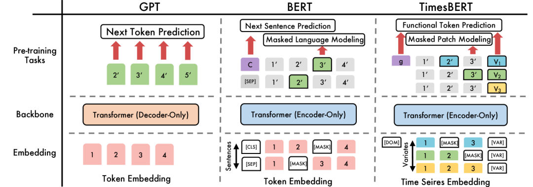 嵌入对比 GPT vs Bert vs TimeBert