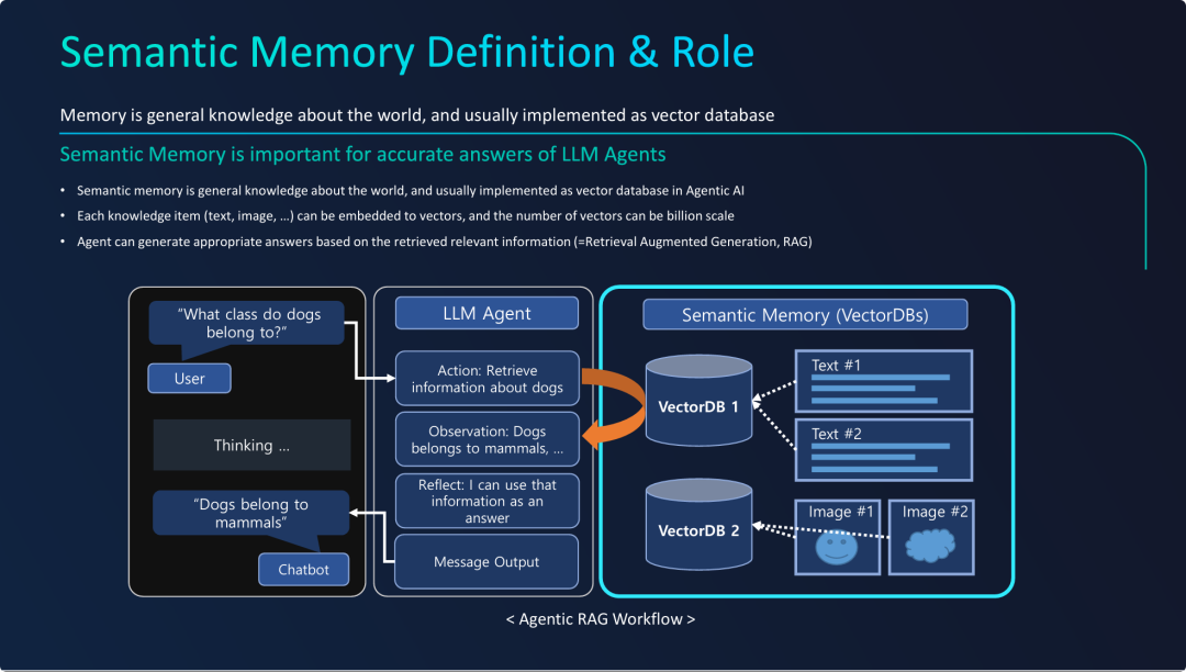 语义记忆的定义与作用