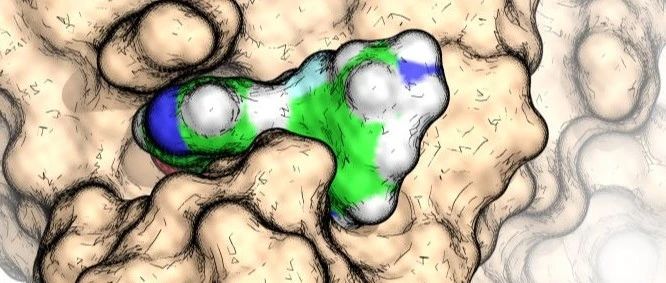 Nat. Commun. | 通过单一分子基础模型实现结构和属性的双向生成