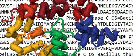 Nucleic Acids Res. | GPSFun：使用语言模型的几何感知蛋白序列功能预测