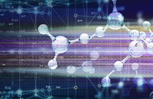 J. Chem. Inf. Model. | 基于片段的药物设计和化合物结合评估的网络应用程序