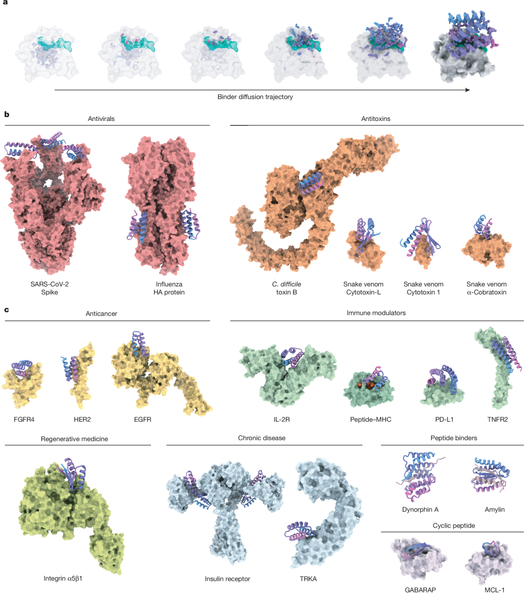 Fig. 2: Design of binding to protein targets.