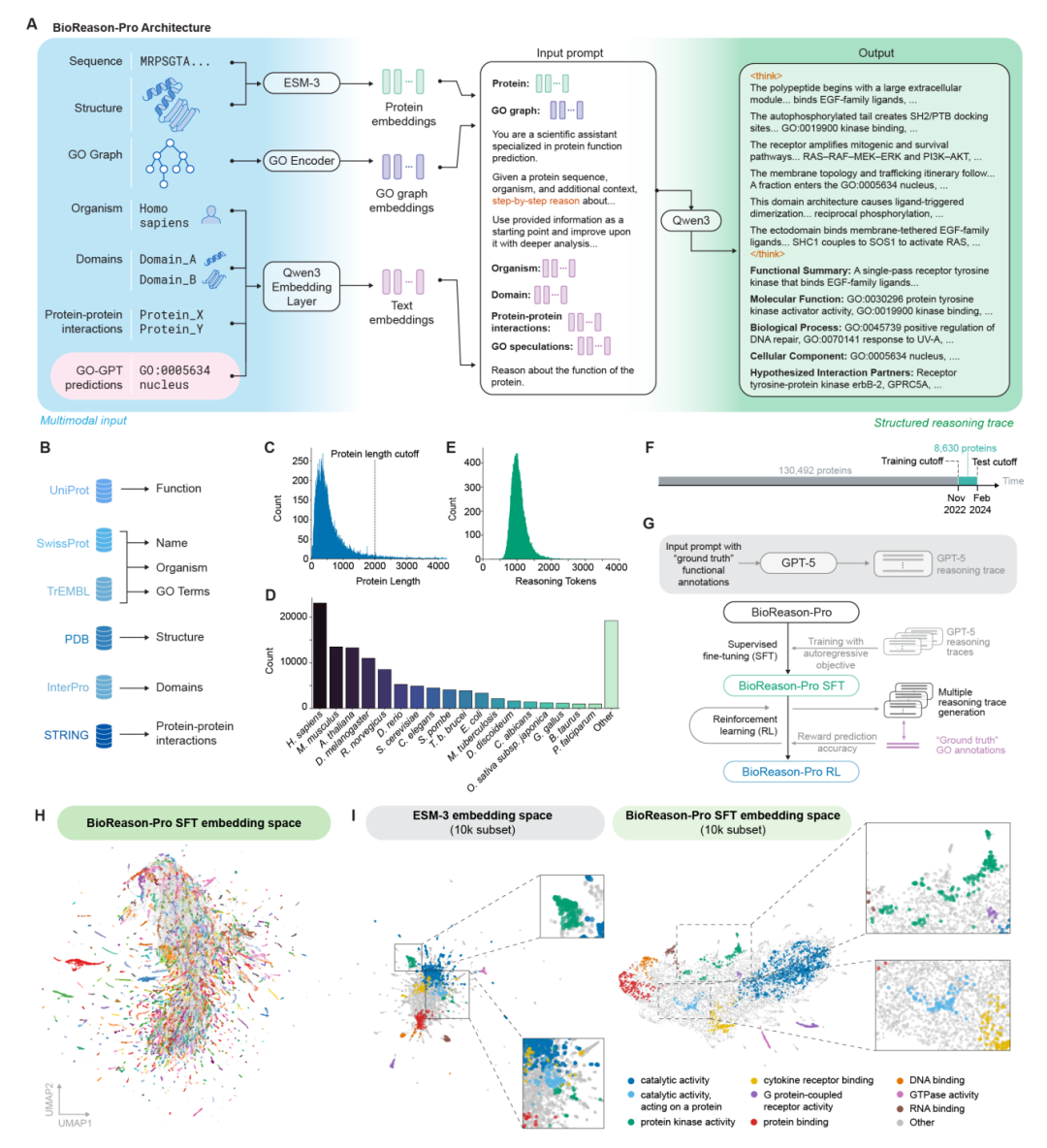 BioReason-Pro 整体架构与训练流程。模型整合 ESM3 蛋白质嵌入、GO 图编码器和生物学上下文信息，在 GPT-5 生成的合成推理轨迹上进行监督微调（SFT），再通过以 GO 术语预测准确度为奖励的强化学习（RL）进一步优化。
