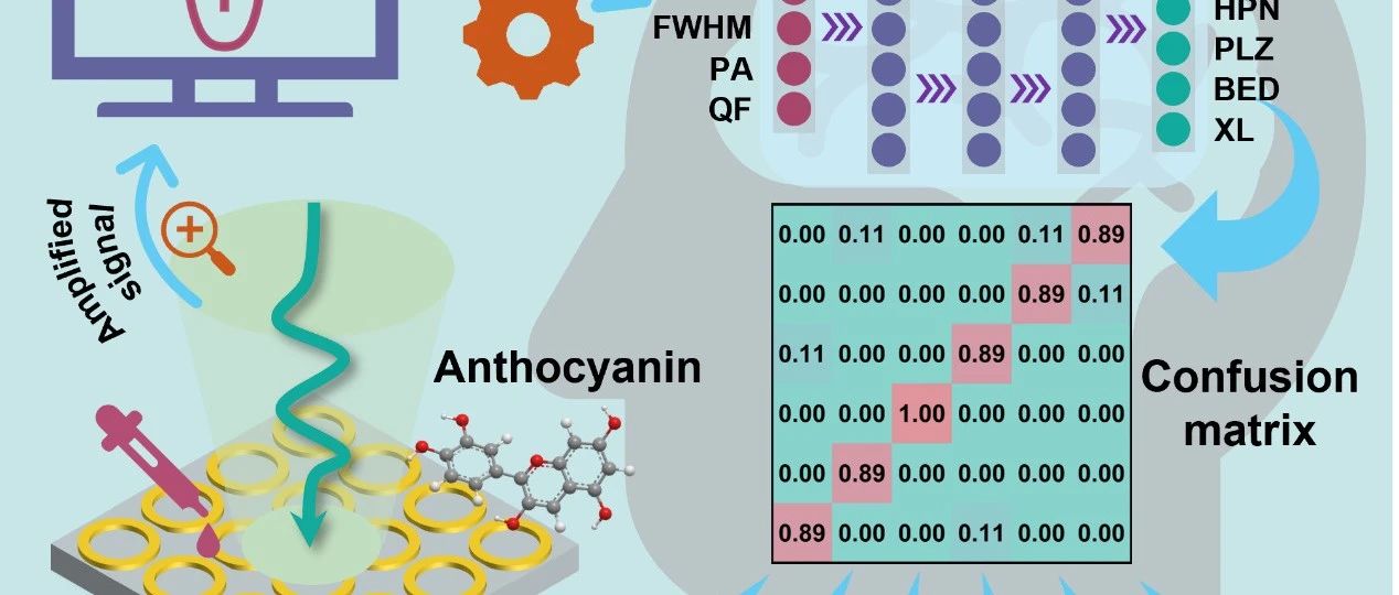 孙大文院士在《Chemical Engineering Journal》发文：太赫兹超材料携手深度学习，助力食品检测新突破！