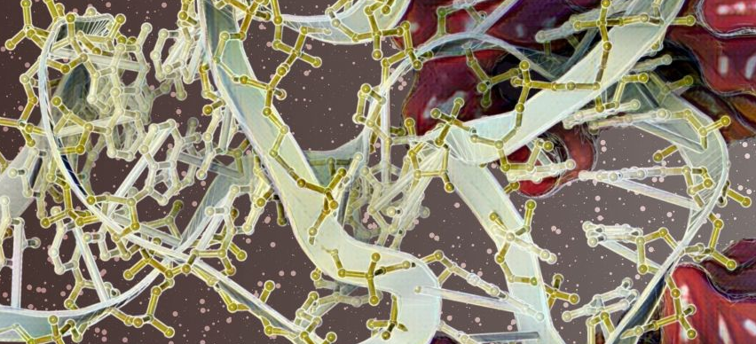 Cell. Syst. | 一种端到端的自动化机器学习工具，用于解释和设计生物序列