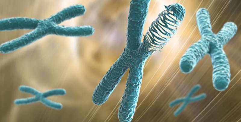 Nature Methods |  针对罕见病的机器学习方法