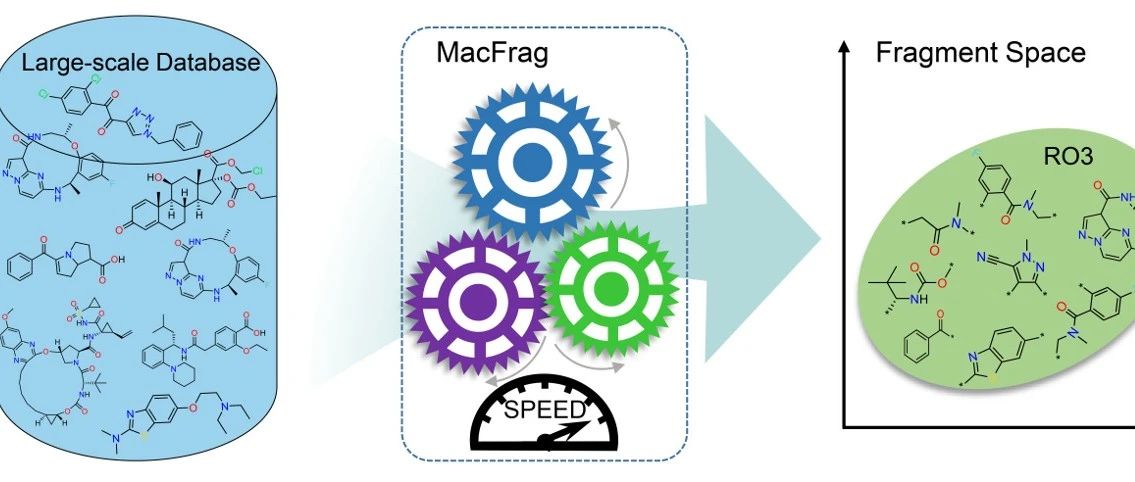 李洪林团队发布分子切割算法MacFrag快速生成高质量药物片段