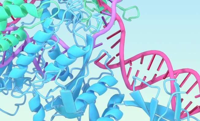 PNAS | 蛋白质结构预测屈服于机器学习